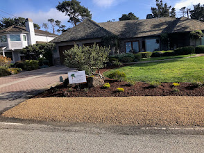 Front Yard Renovation